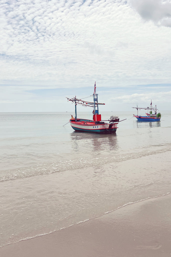 View From The Sand Bank